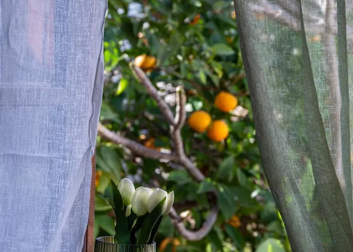 Daire St Nicholas Traditional House Rhodes City